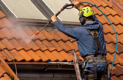 Démoussage et hydrofuge de toiture au Blanc